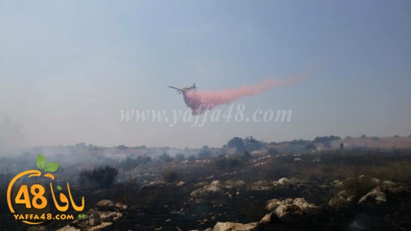 fire a7rsaah (7).jpg